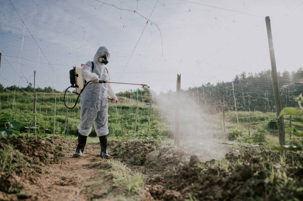 Best Pest Removal Services  in Salunga, PA