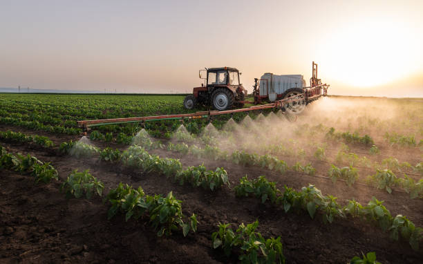 Best Pest Removal Services  in Salunga, PA