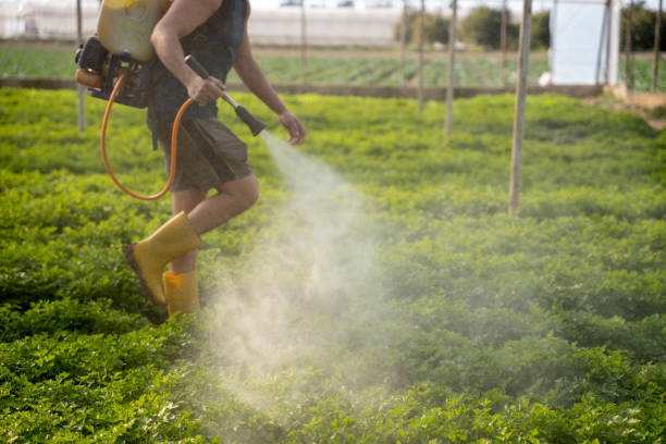 Best Affordable Pest Control Services  in Salunga, PA