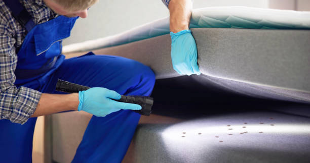Best Rat Extermination Near Me  in Salunga, PA